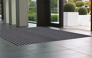 romus gradus tapis entree