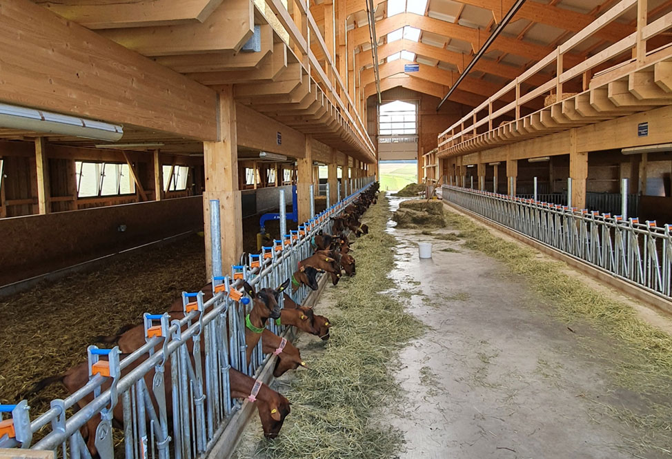 l'industrie agroalimentaire